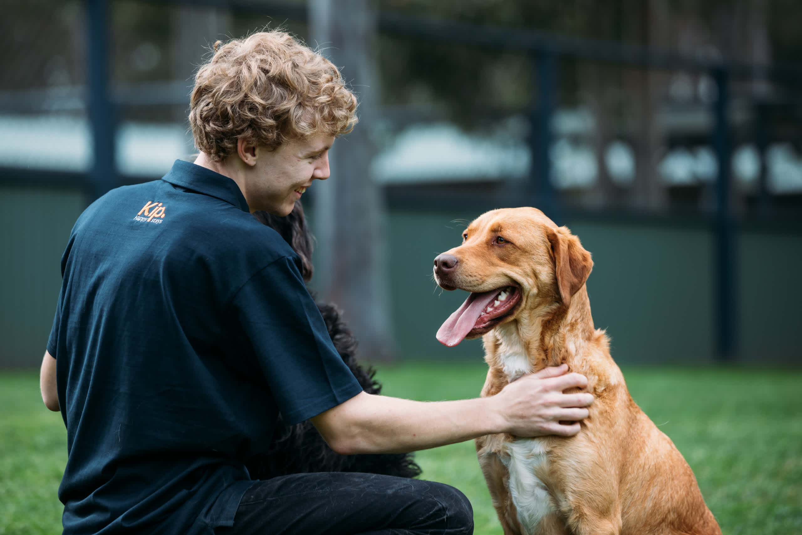 Dog Boarding Sydney