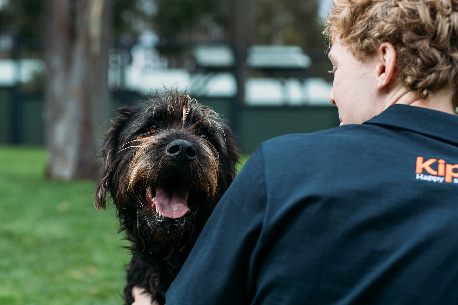 How Are Dogs Assessed On Trial Days?