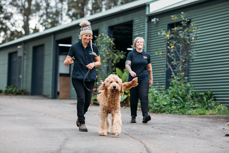 254 Bathurst St, Sawyers Gully NSW 2326