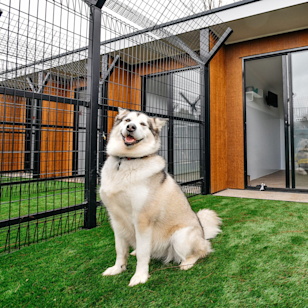 295 Penfield Road, Virginia SA 5120