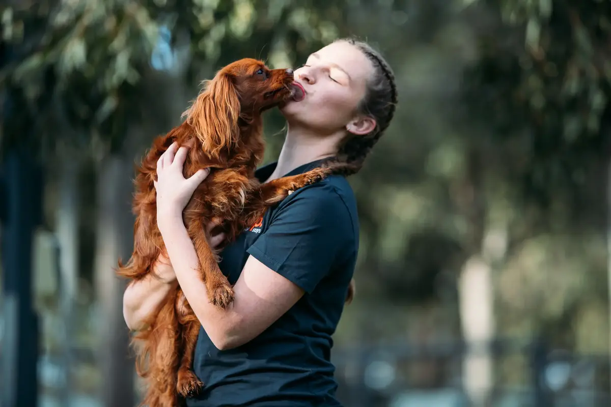 Girl kissing the dog