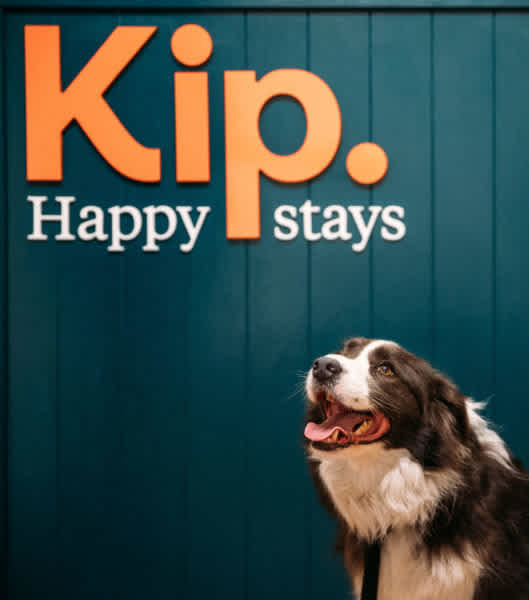 Kip’s Pet Hotel in Adelaide