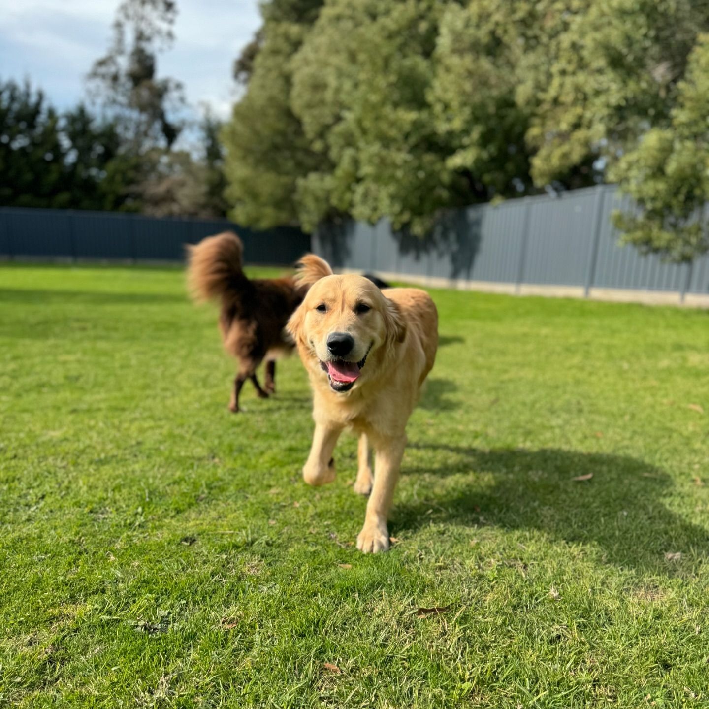 2 Vidotto Ct, Pearcedale VIC 3912