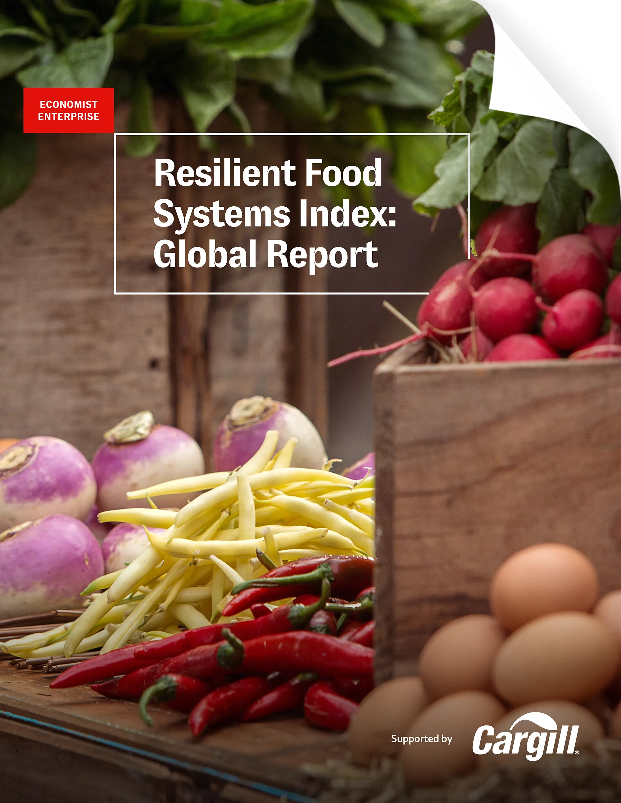 Global report cover