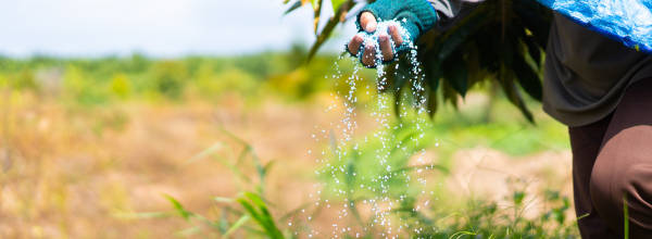 Thumbnail double sized | Fertilizer and agricultural