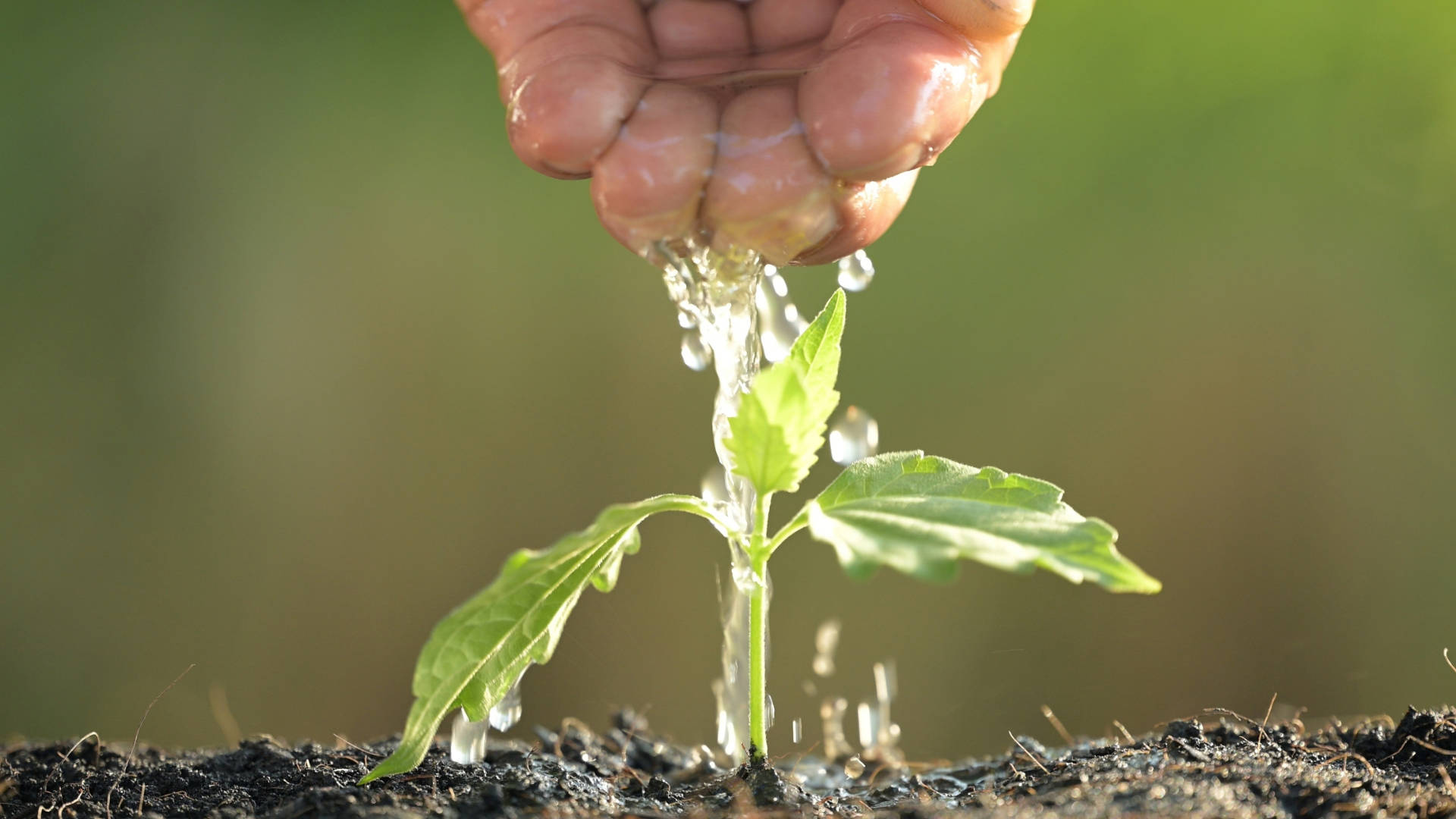 The cost of misvaluing water