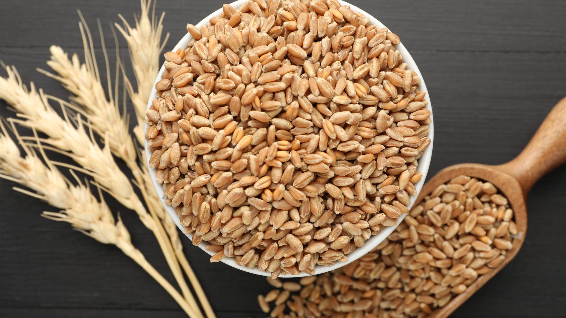 A bowl and a scroop filled with grain are on the table along with a stalks of wheat