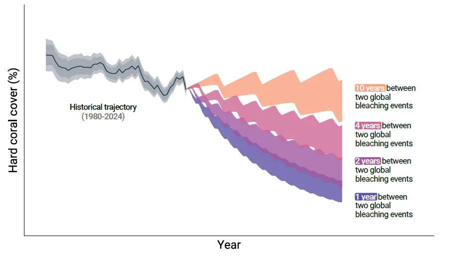 Chart | Possible future trajectories of global hard coral cover based on historical trend