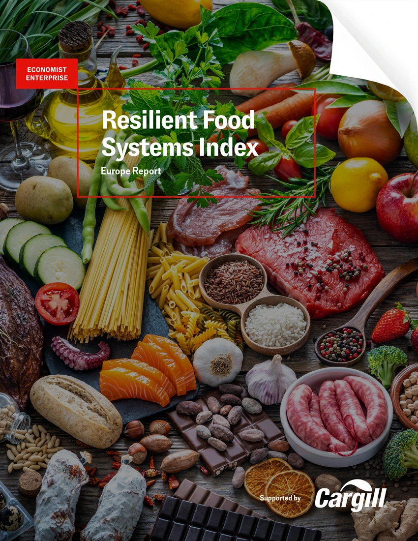 Europe report cover