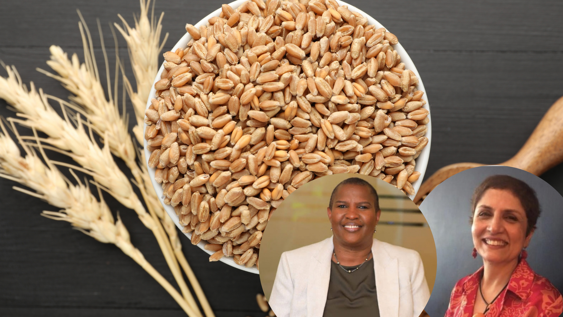 A bowl and a scroop filled with grain are on the table along with a stalks of wheat with authors photos