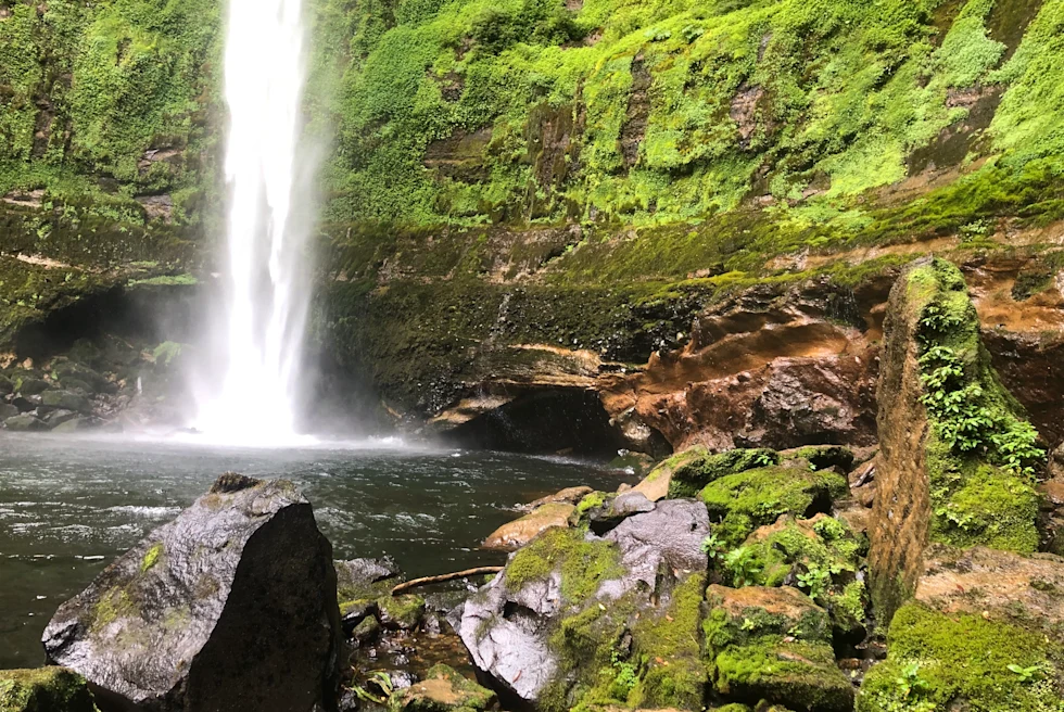 waterfall surrounded by trees and greenery