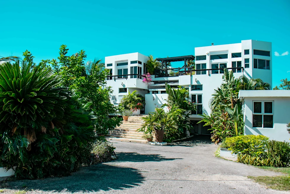 White house with green plants next to street during daytime