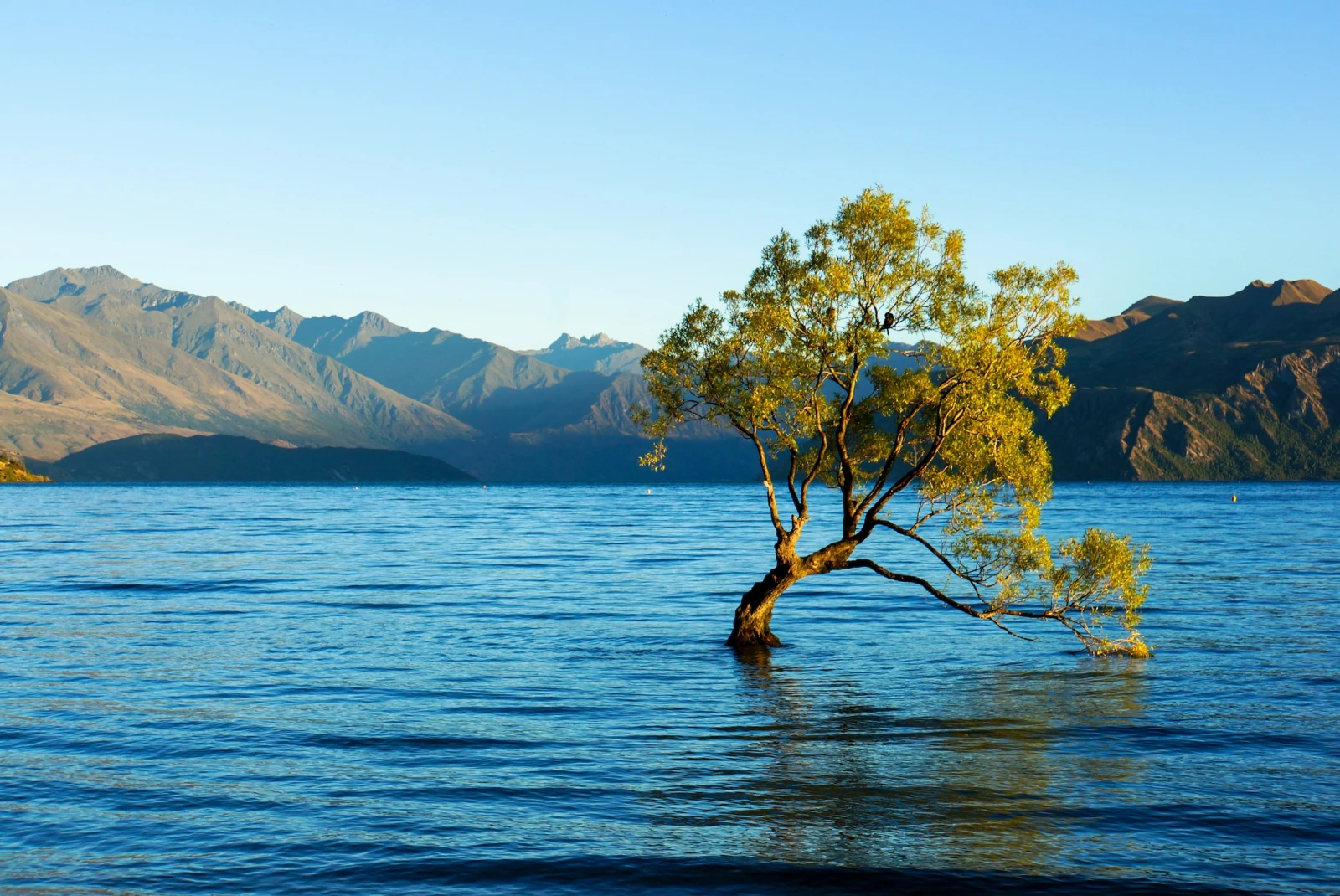 Lake Wanaka is a serene jewel set against the backdrop of New Zealand's Southern Alps, inviting visitors to enjoy outdoor adventures and the tranquility of its pristine blue waters.