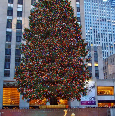 New York City is the magic destination for Christmas.