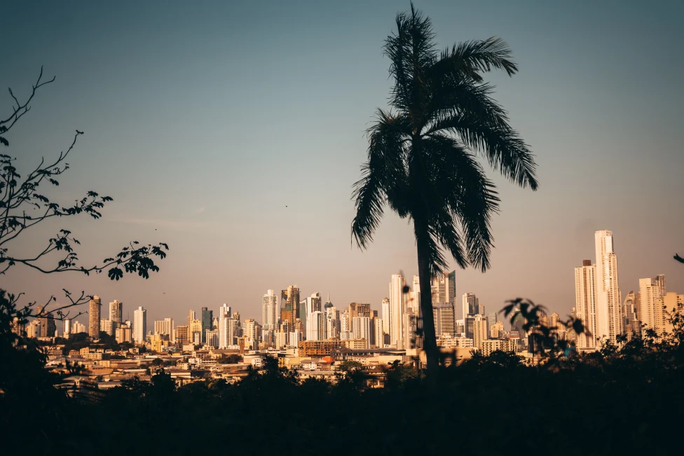View of downtown Panama City skyline with palm tree in the forefront