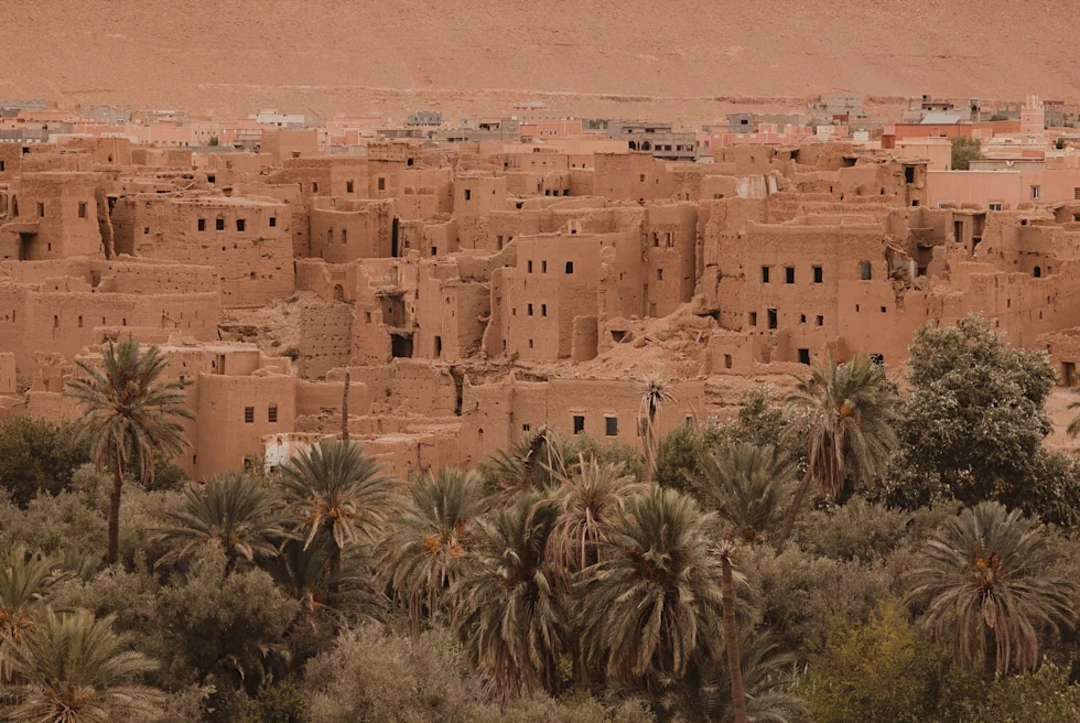 Old mud buildings covered with palm trees