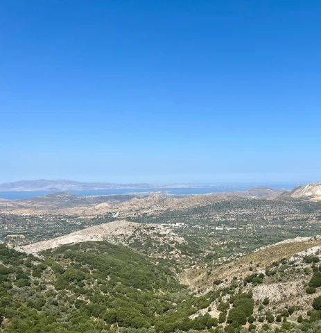 The Best of Naxos, Greece curated by Christina Sakelarakis