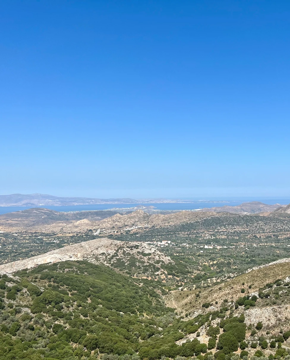 Advisor - The Best of Naxos, Greece
