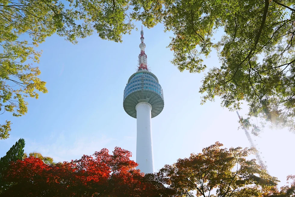 tall tower with a spire through the trees