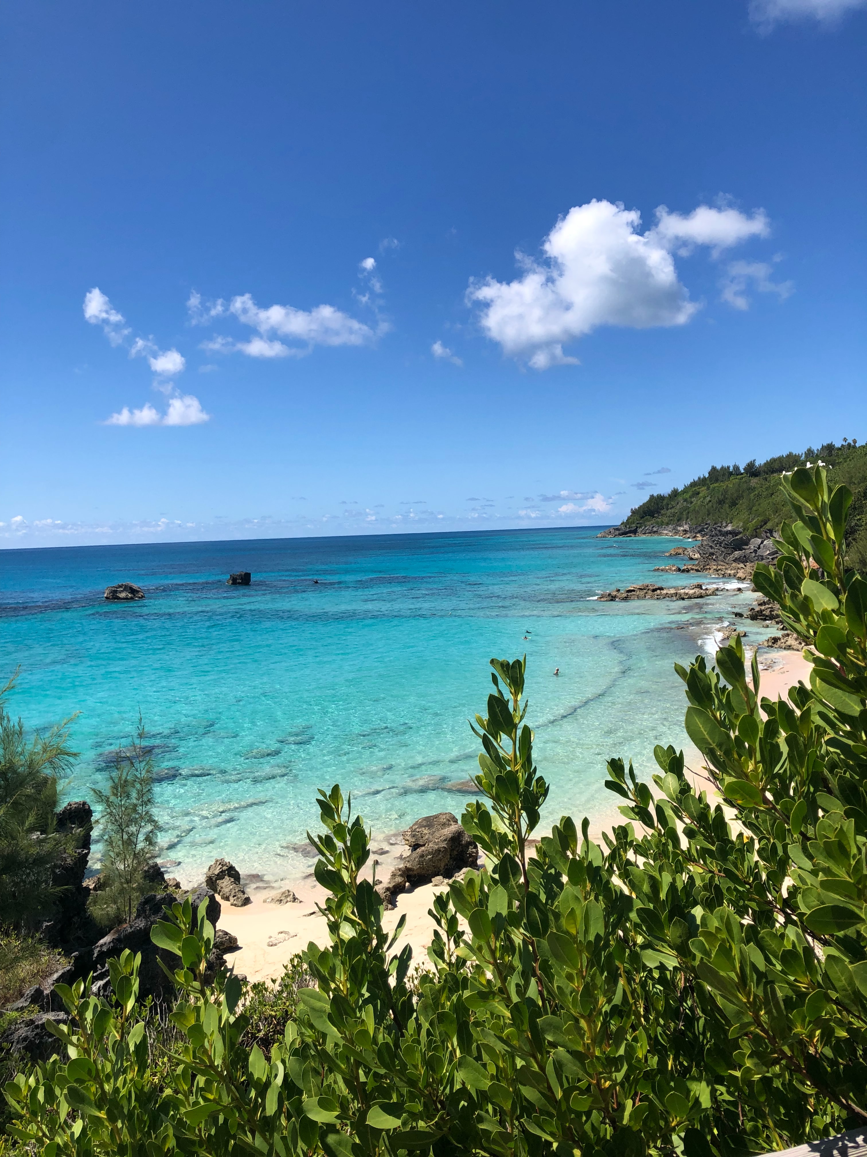 The Ultimate Bermuda Travel Guide