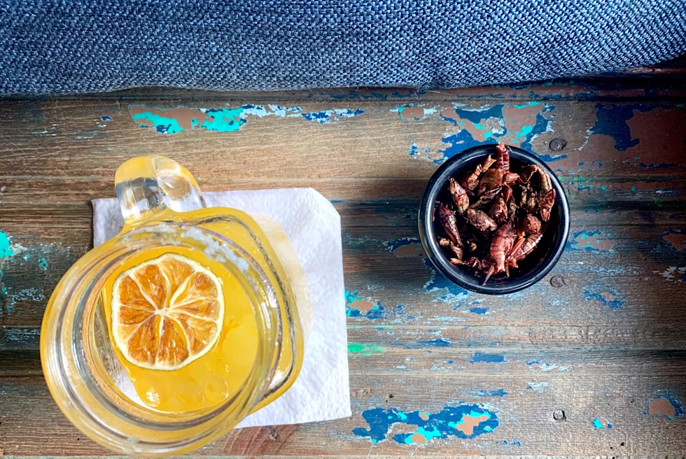 Cocktail and crickets in Mexico.