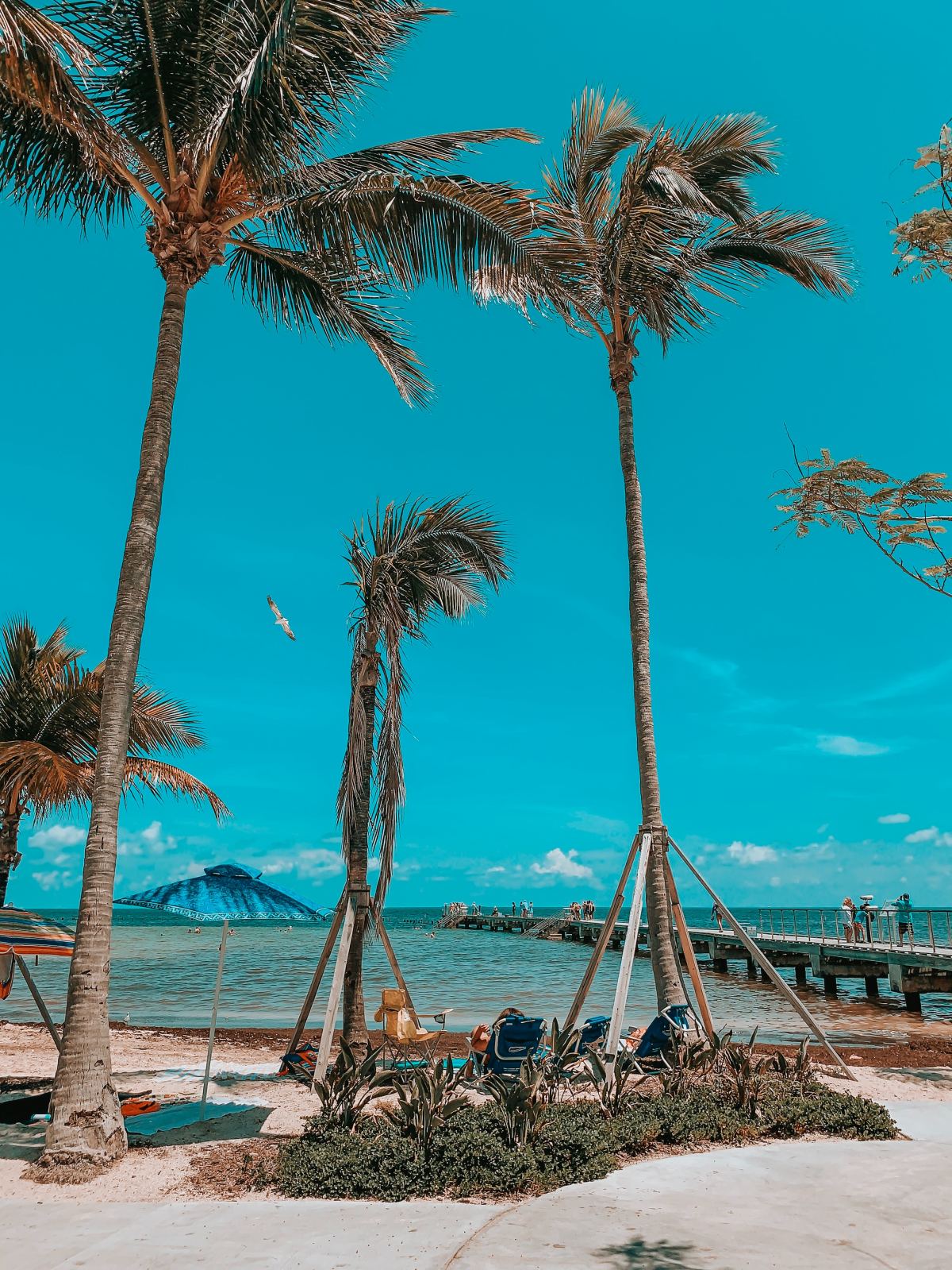 Book a Key West Vacation Fora Travel