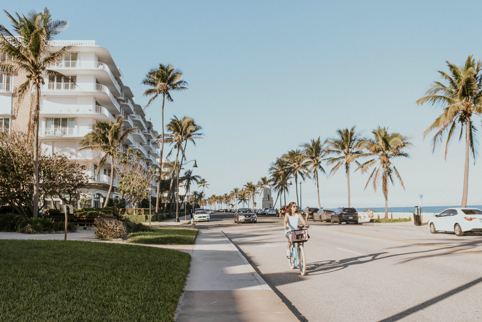 Palm tree lined boulevard in Palm Beach. 