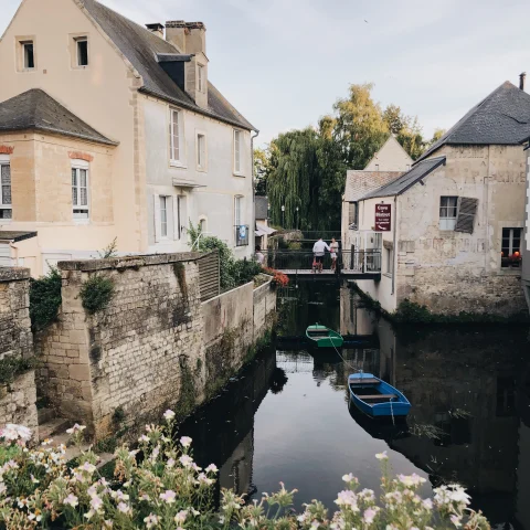 Flowers with water and two white buildings during daytime