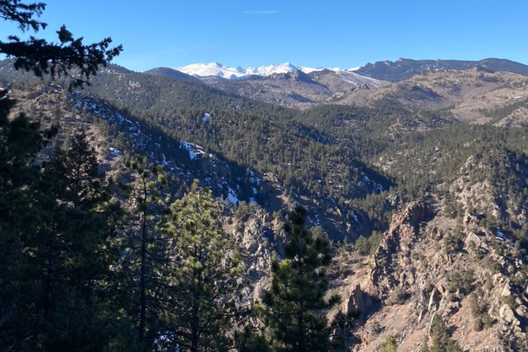An overhead view of trees scattered across the rocky mountains beneath the blue sky. 
