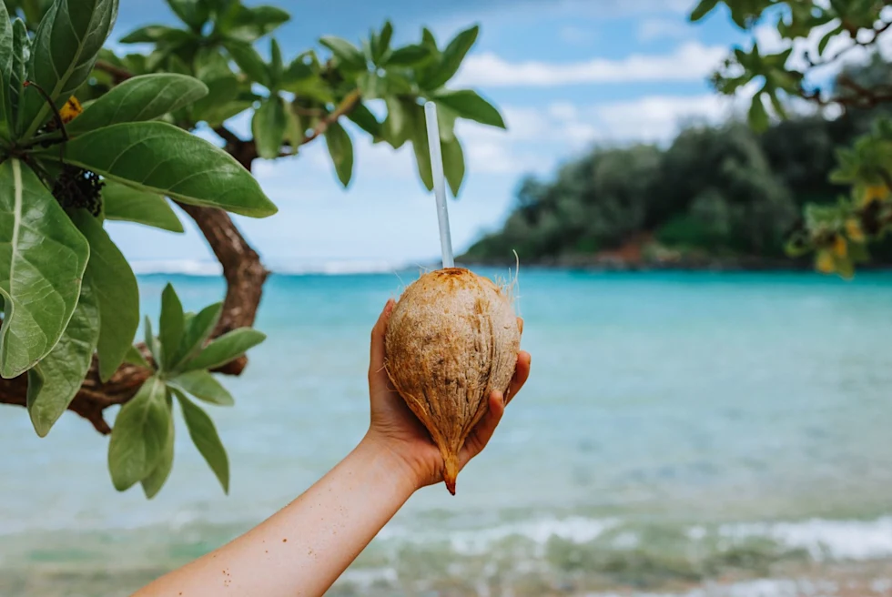 coconut on the beach with a straw