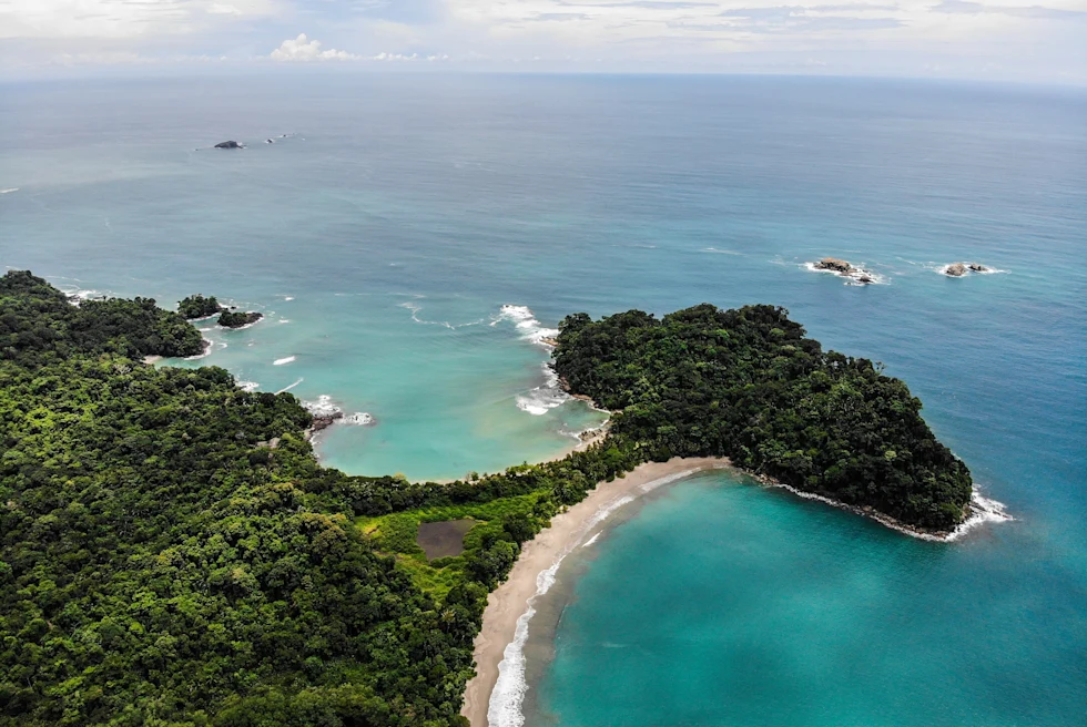 Aerial view of a green beach and blue water.