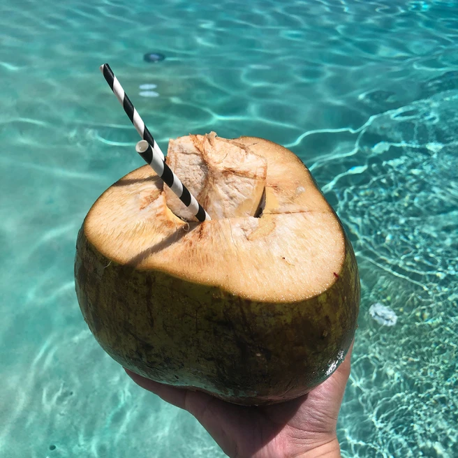 Man holding a coconut with a paper straw inside of it.