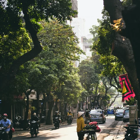 people in the street lined with trees and buildings