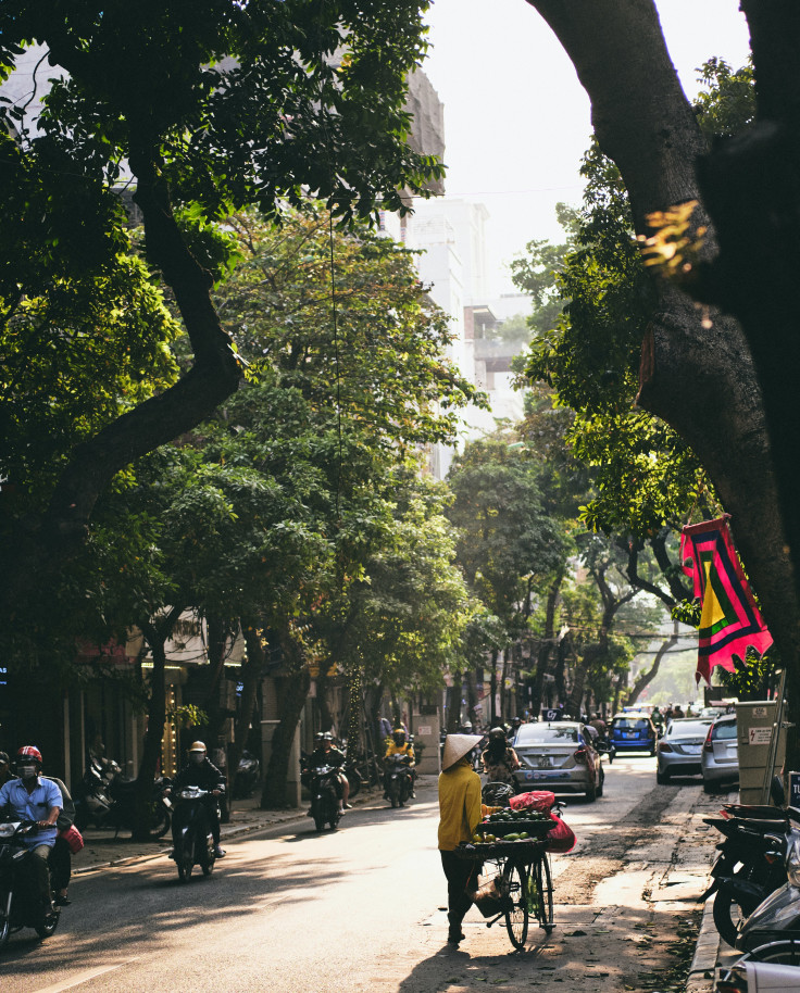 people in the street lined with trees and buildings