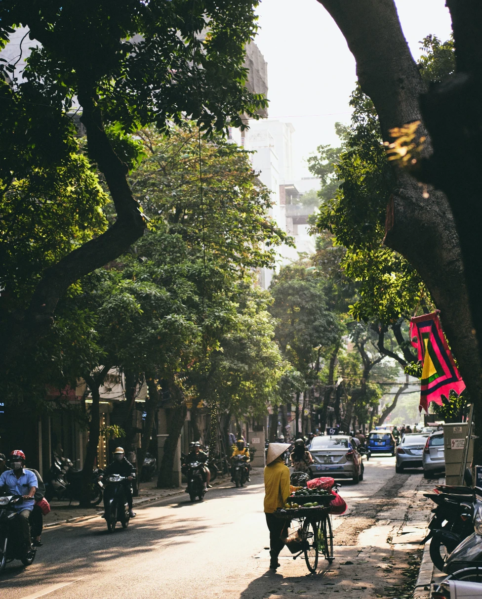 people in the street lined with trees and buildings