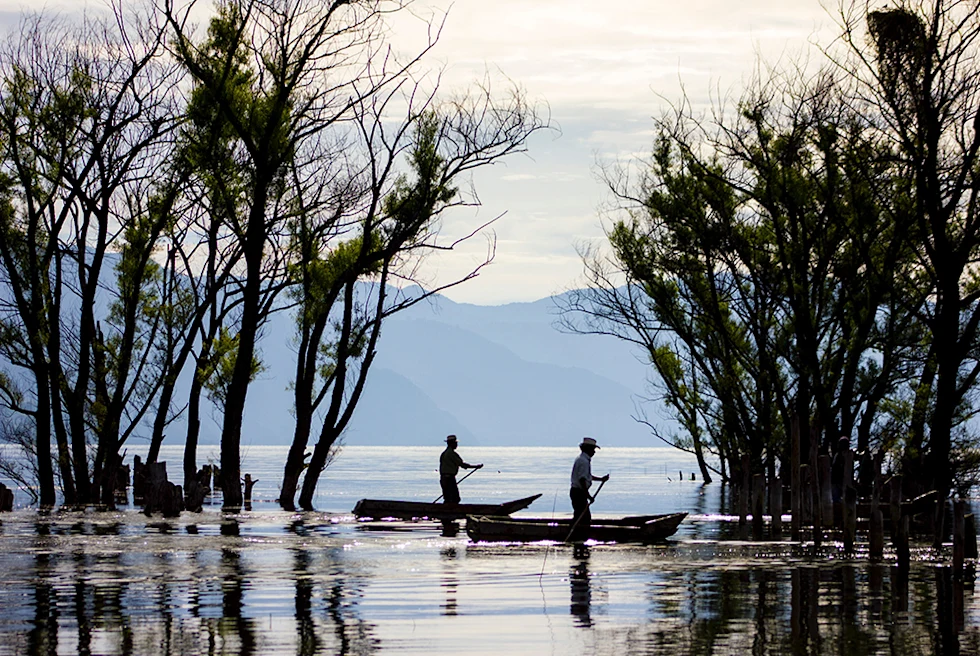 two people in boats with ores blue mountains and tall shadow trees