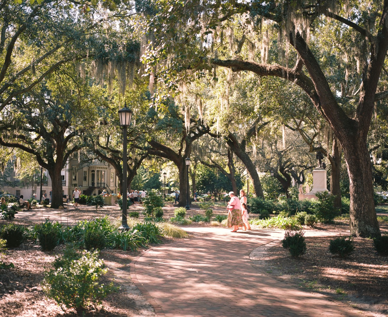 Lush, green park with Spanish moss in Savannah, Georgia. 
