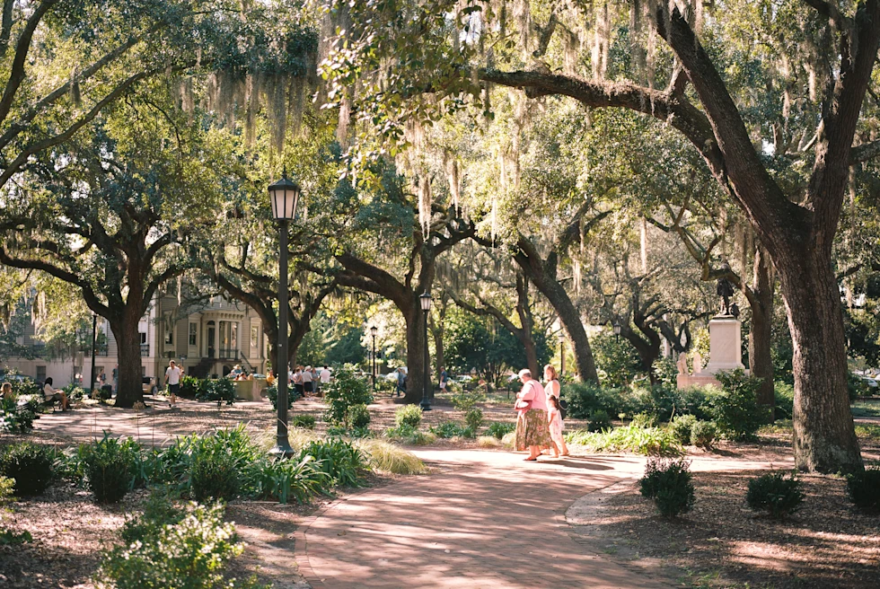 Lush, green park with Spanish moss in Savannah, Georgia.
