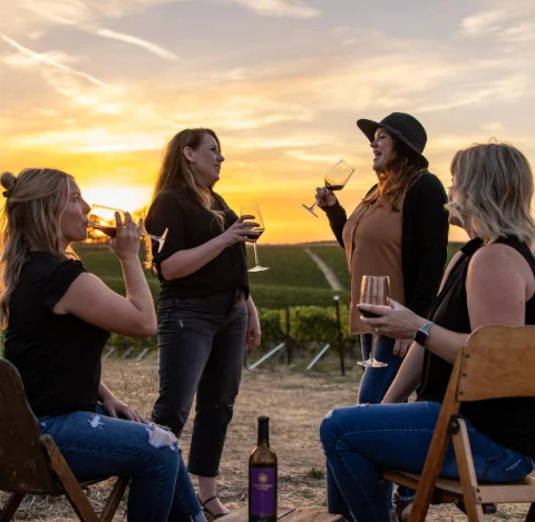 Four women wearing black tops, and enjoying their glasses of wine, outside before the sunset.