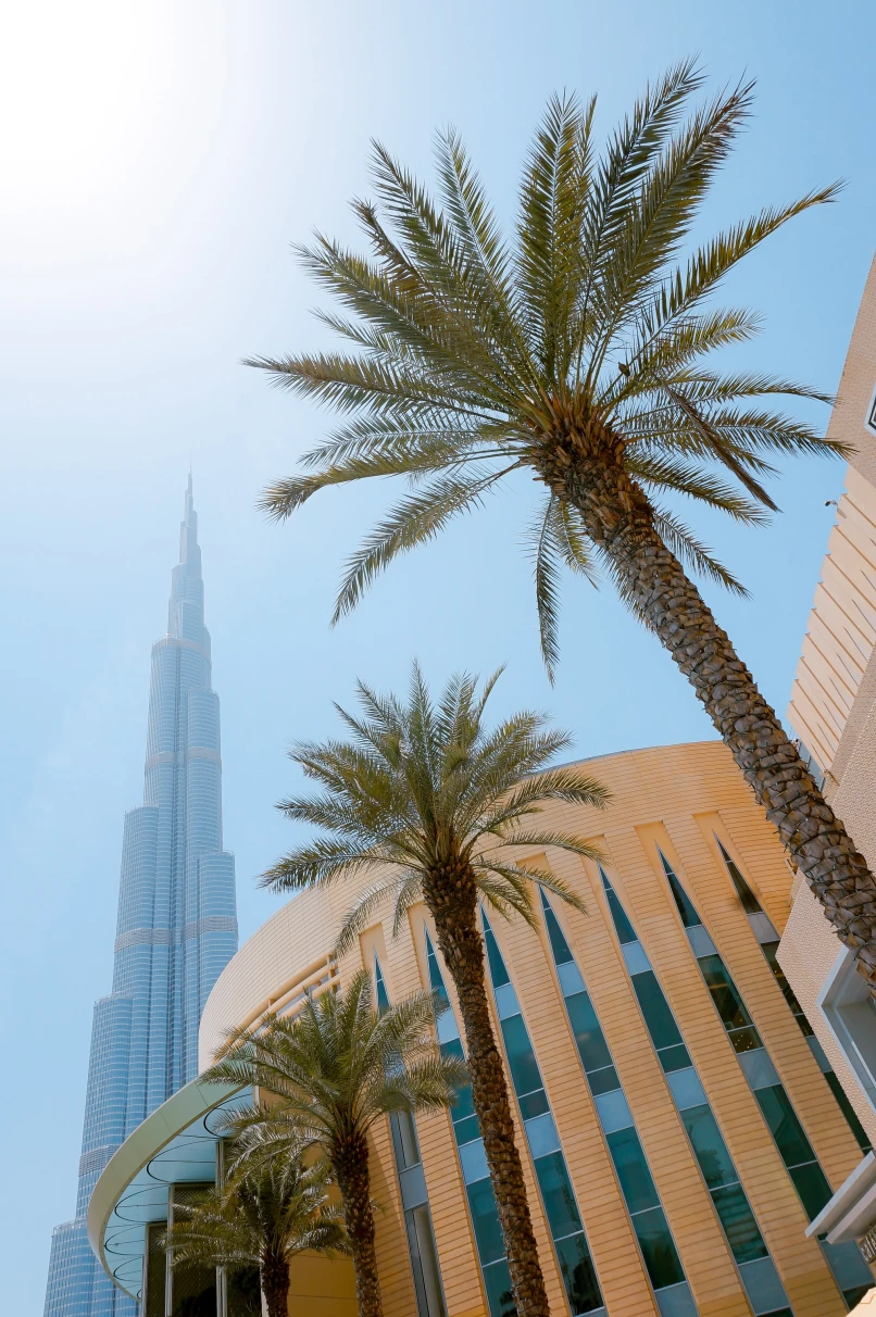 View of palm trees, blue sky and Burj Khalifa building in Dubai