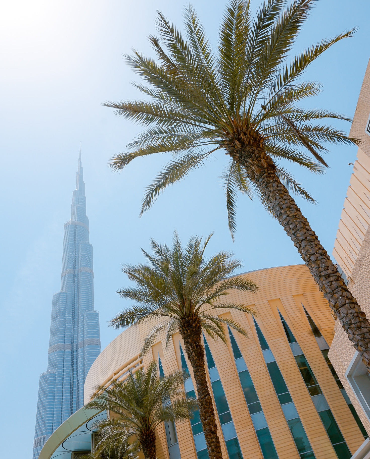 View of palm trees, blue sky and Burj Khalifa building in Dubai