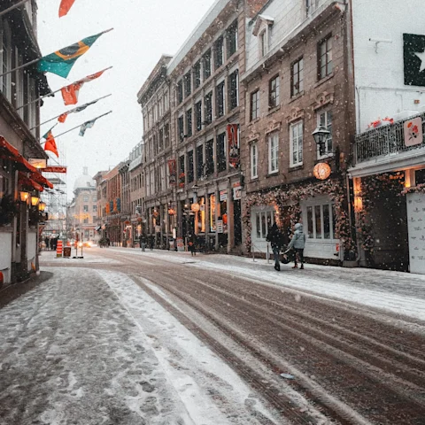 Cindy Rhee | Fora Travel