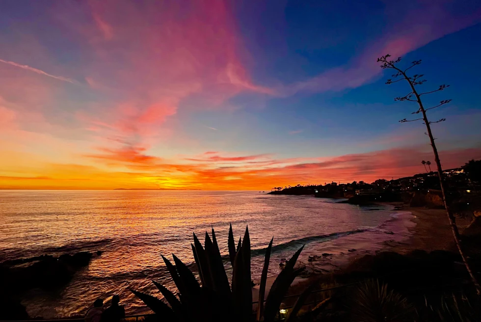 body of water next to beach during sunset