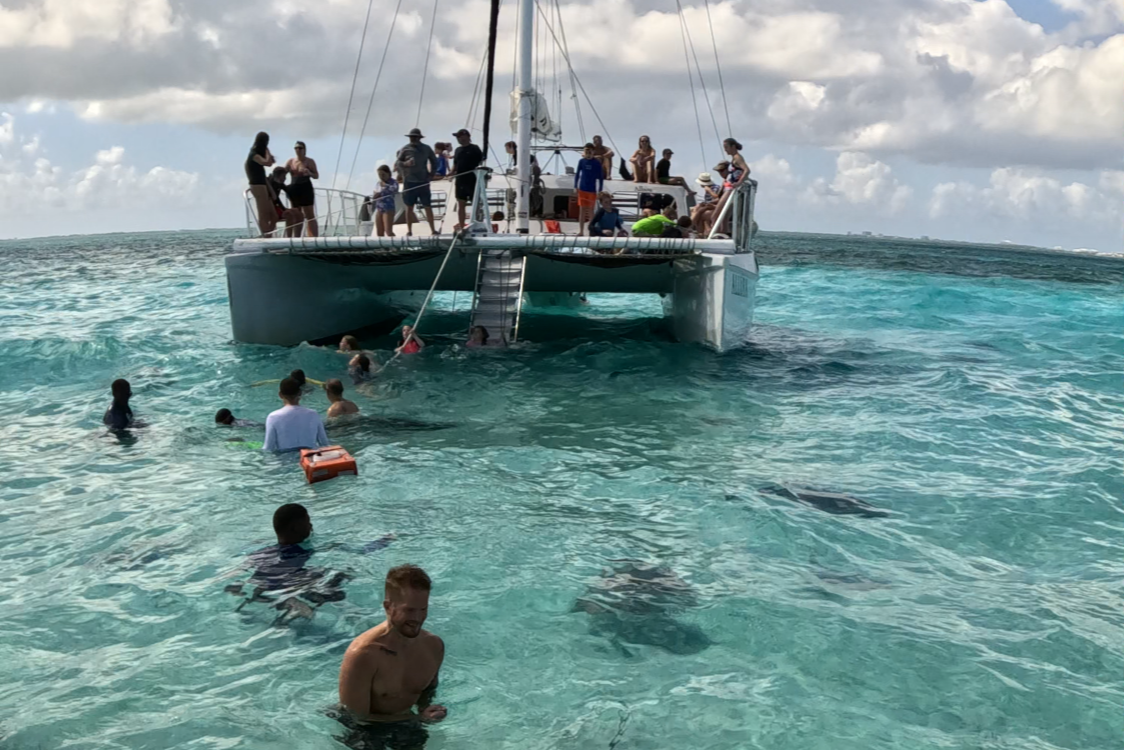 Stingray in Blue Water