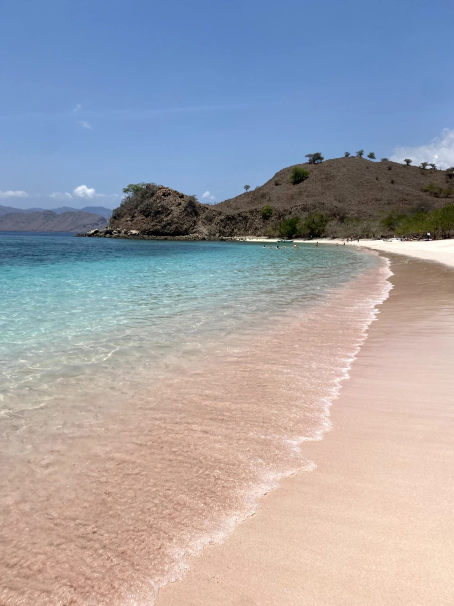 A picture of a pink colored sand beach with clear skies, blue water and tropical foliage in the distance.