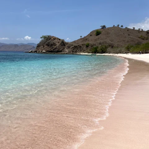 A picture of a pink colored sand beach with clear skies, blue water and tropical foliage in the distance.