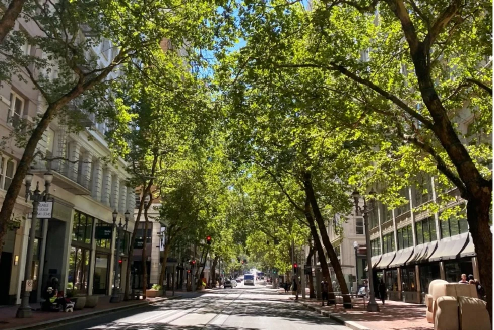 Portland street