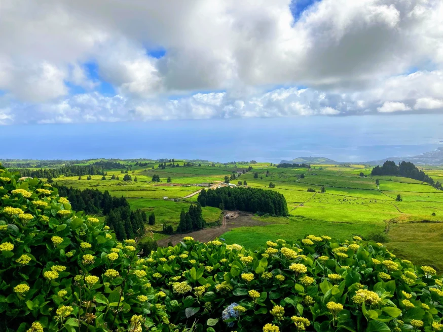 Green fields in São Miguel Island in Azores, Portugal