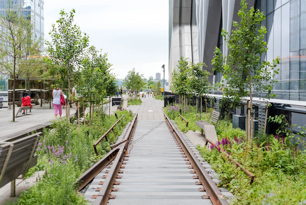 walkway surrounded by trees and buildings