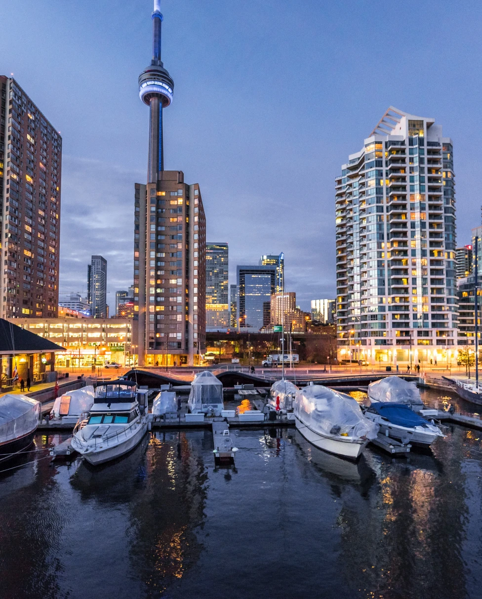 Toronto coast skyline at nighttime. 